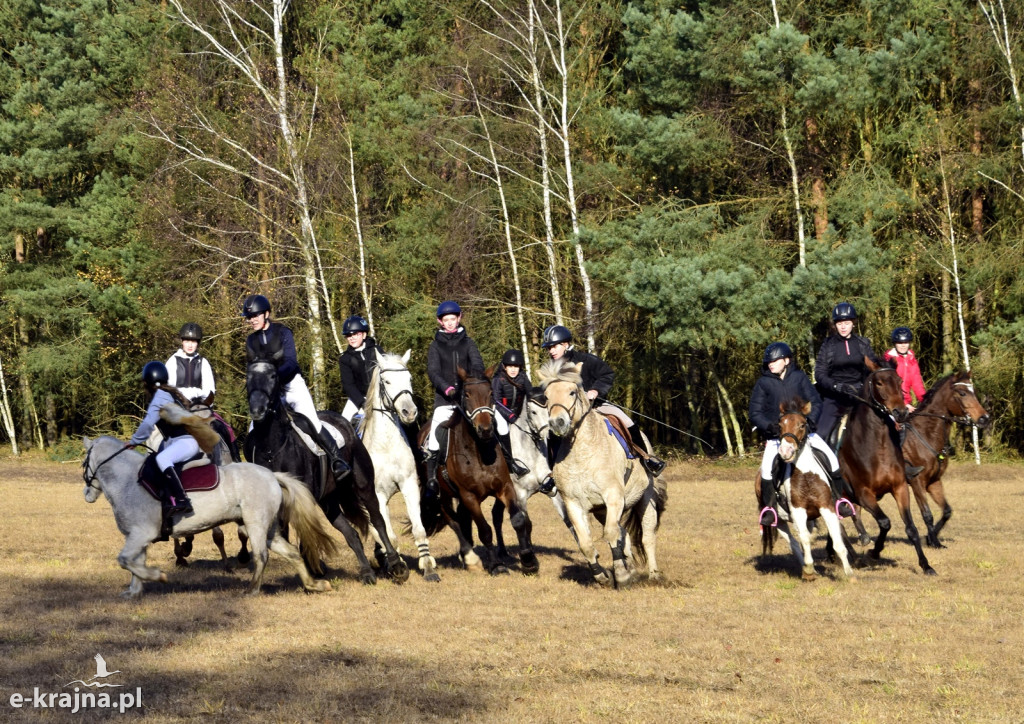 Gmina Więcbork: Hubertus w Sypniewie
