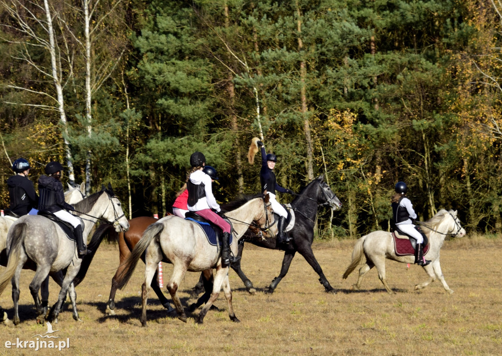 Gmina Więcbork: Hubertus w Sypniewie