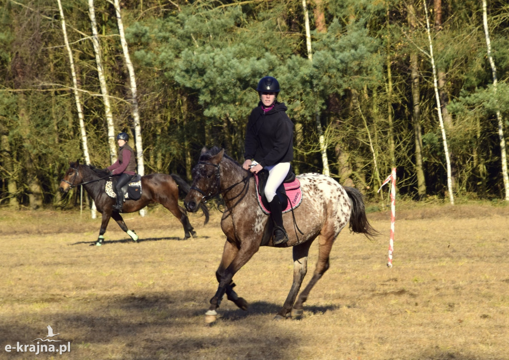 Gmina Więcbork: Hubertus w Sypniewie