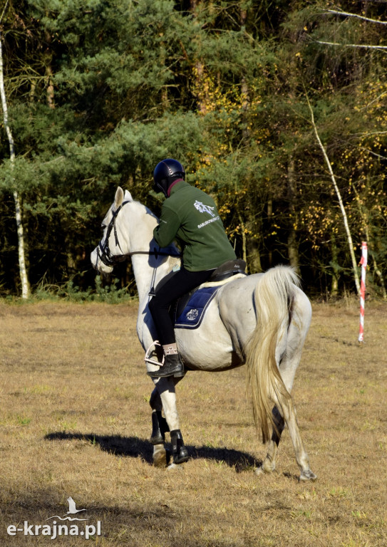Gmina Więcbork: Hubertus w Sypniewie