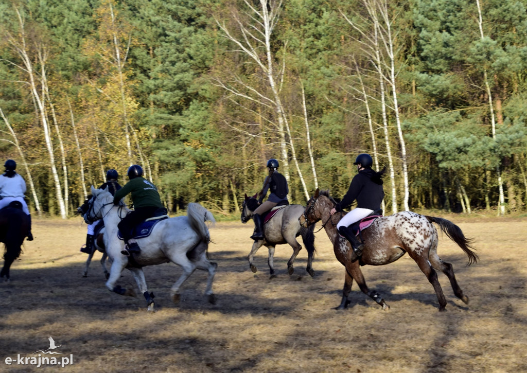 Gmina Więcbork: Hubertus w Sypniewie