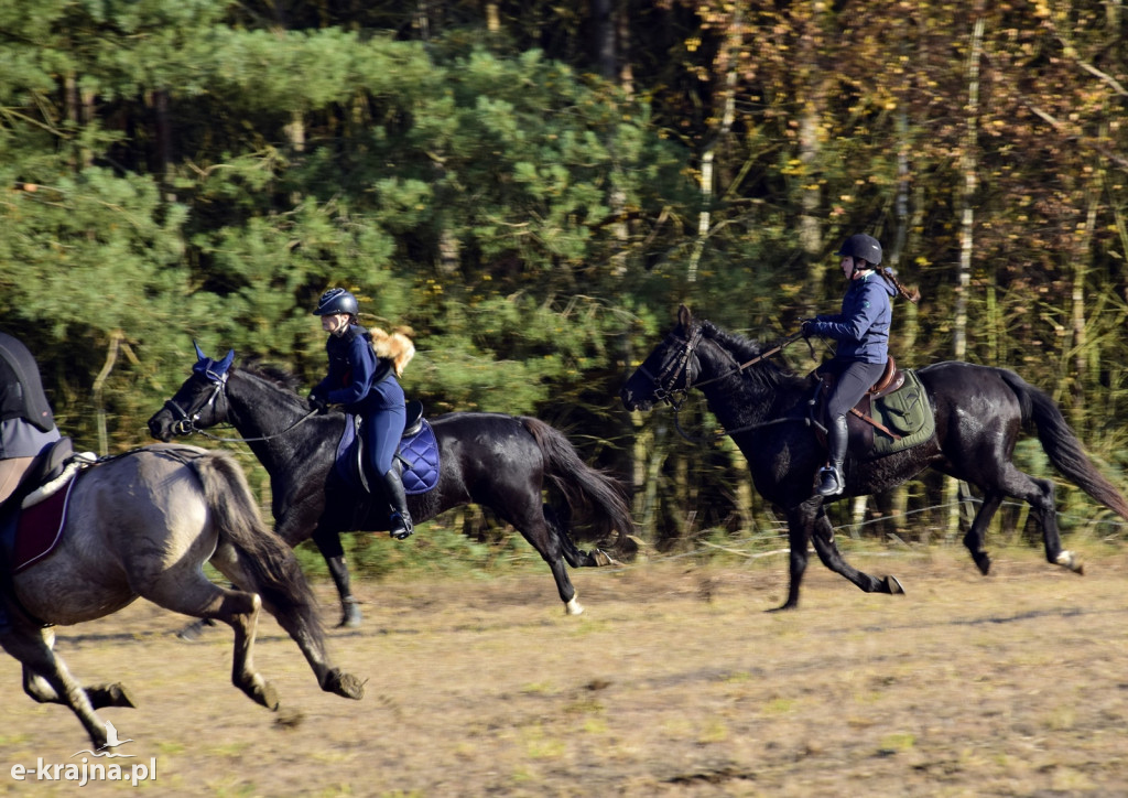 Gmina Więcbork: Hubertus w Sypniewie