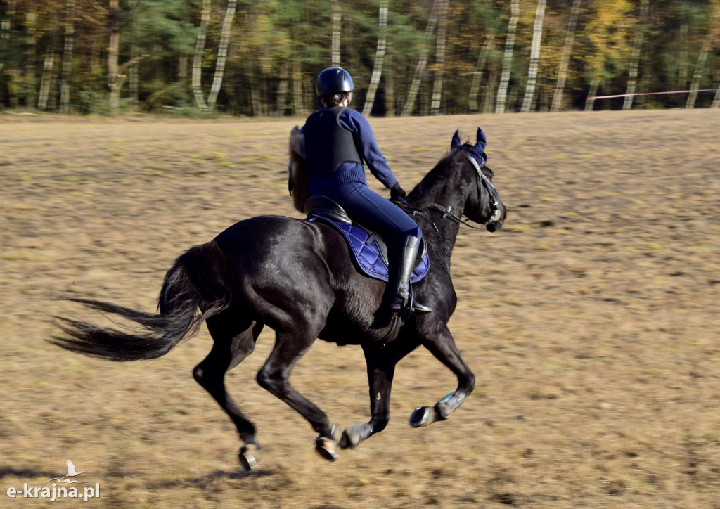 Gmina Więcbork: Hubertus w Sypniewie