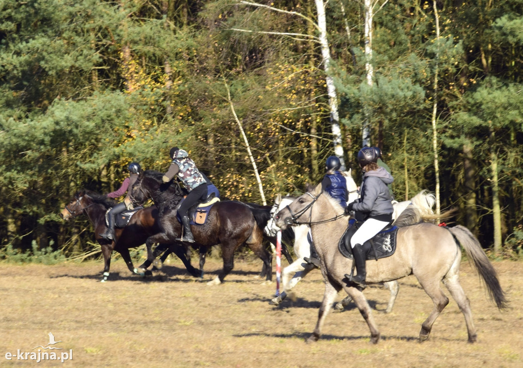 Gmina Więcbork: Hubertus w Sypniewie