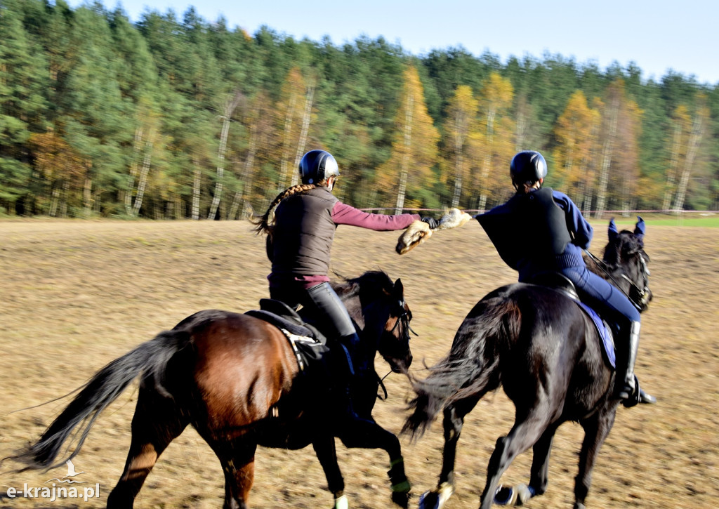 Gmina Więcbork: Hubertus w Sypniewie