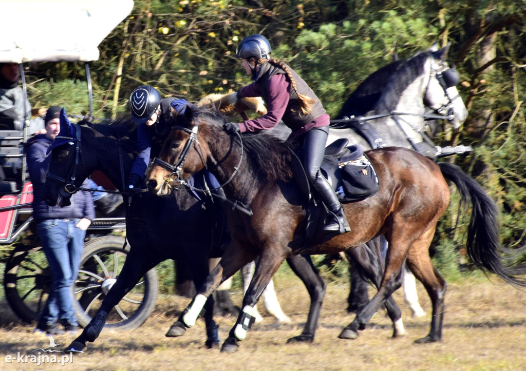Gmina Więcbork: Hubertus w Sypniewie