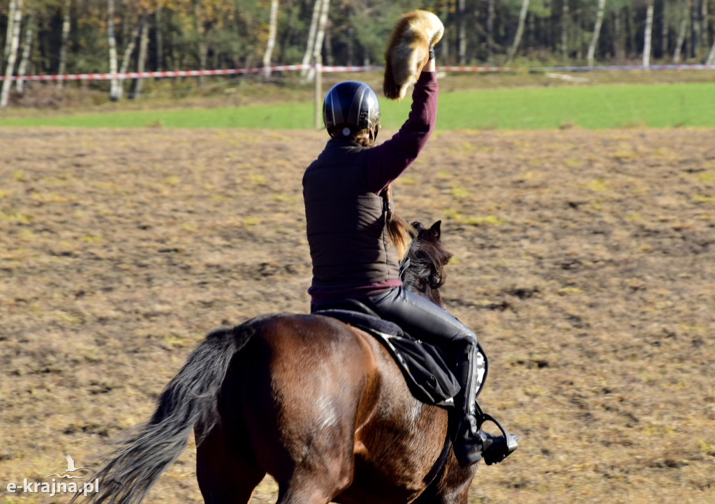 Gmina Więcbork: Hubertus w Sypniewie