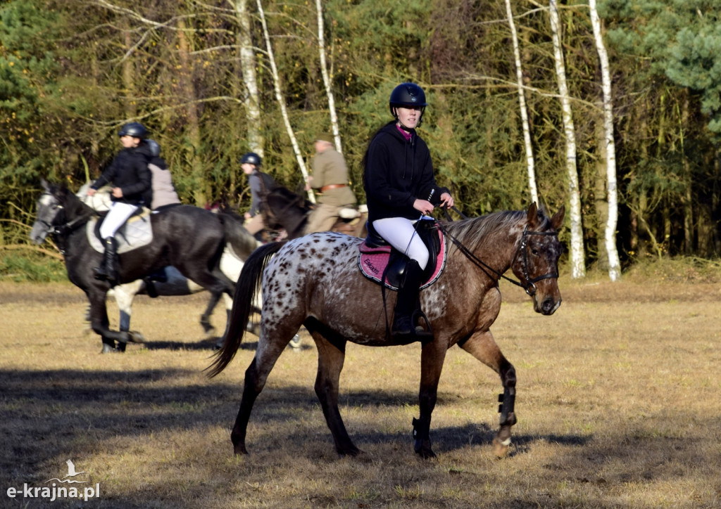 Gmina Więcbork: Hubertus w Sypniewie