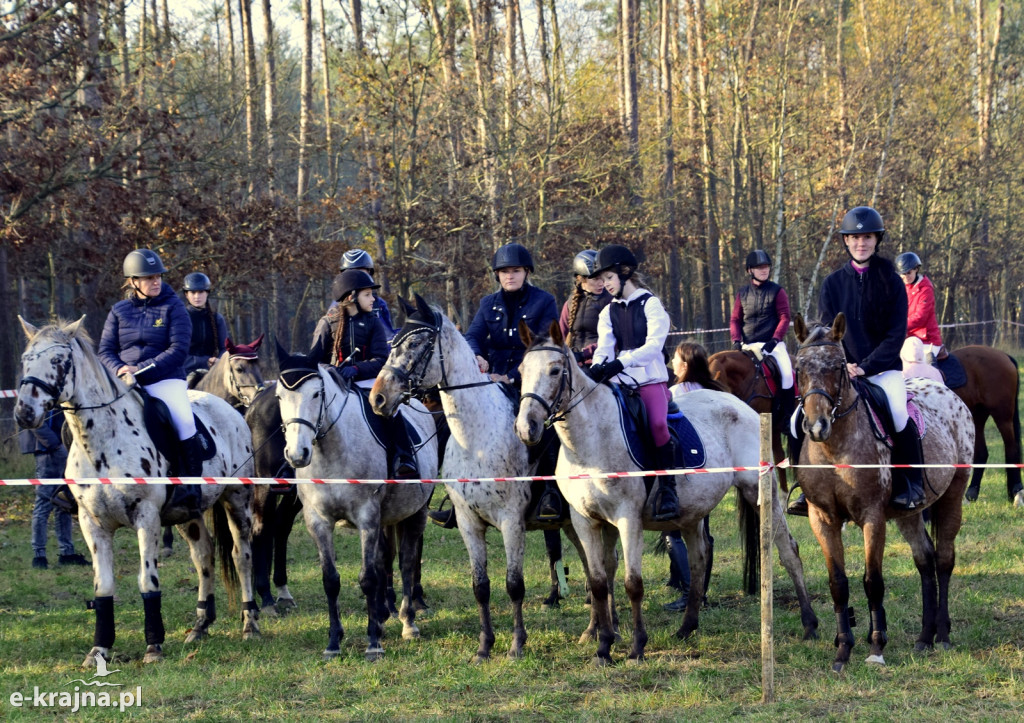 Gmina Więcbork: Hubertus w Sypniewie