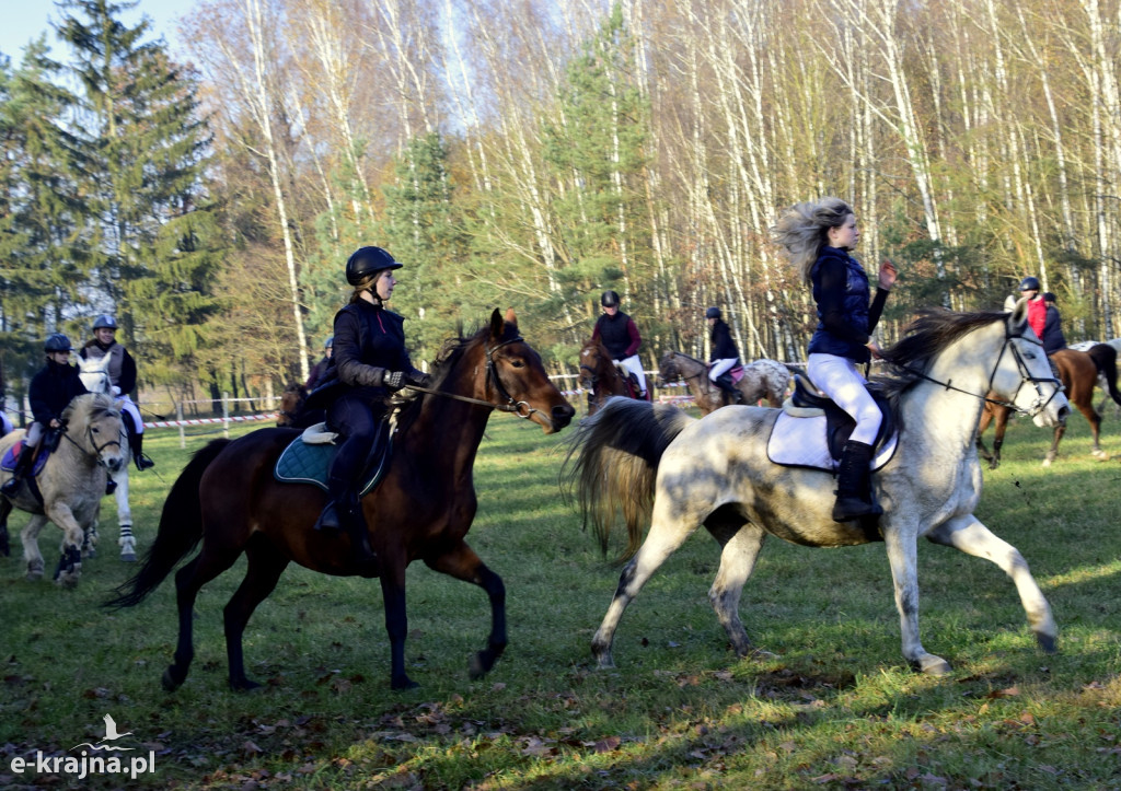 Gmina Więcbork: Hubertus w Sypniewie