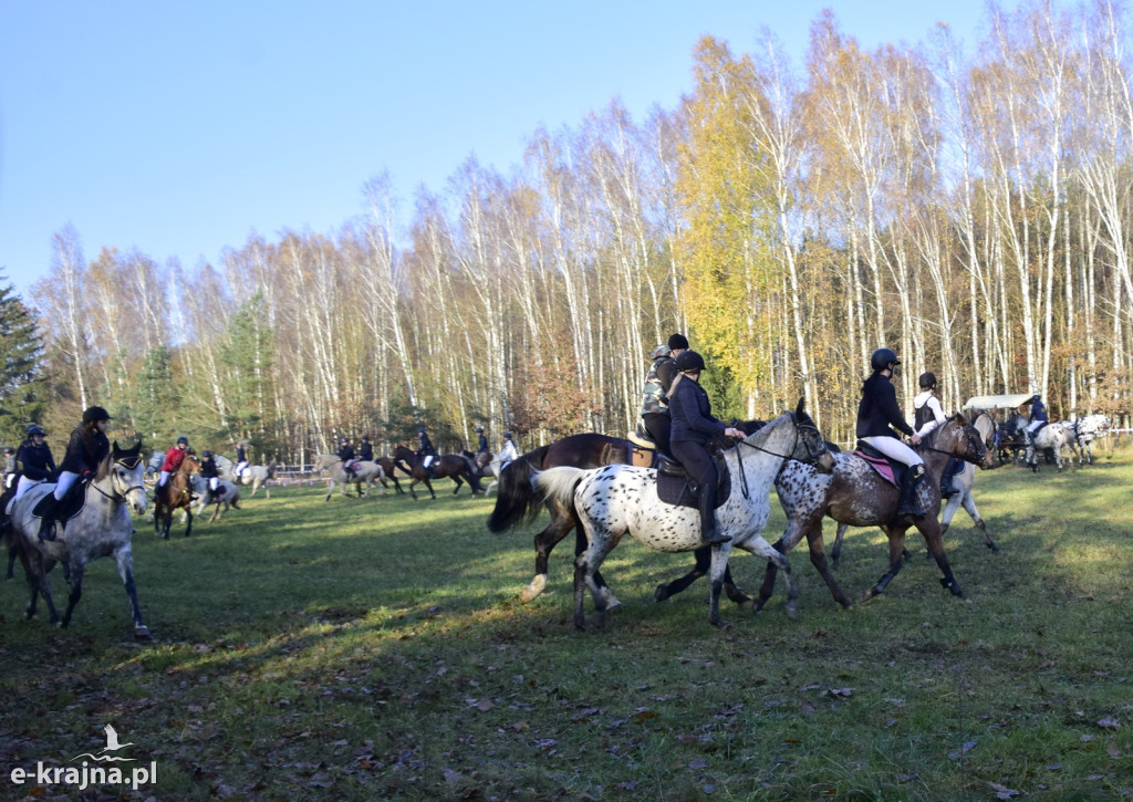 Gmina Więcbork: Hubertus w Sypniewie