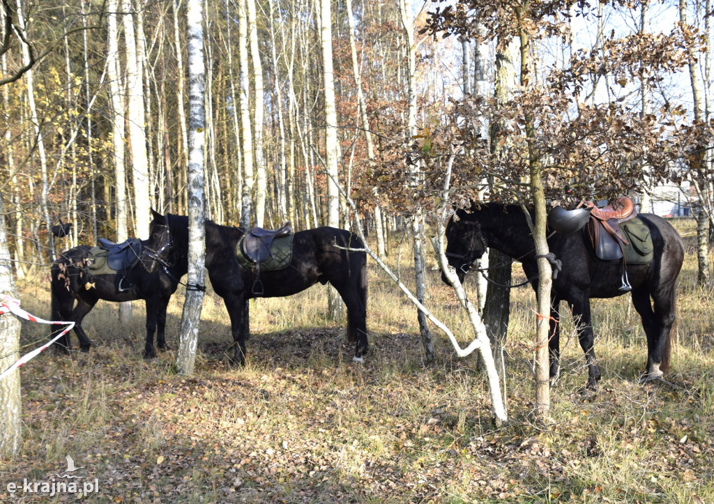Gmina Więcbork: Hubertus w Sypniewie
