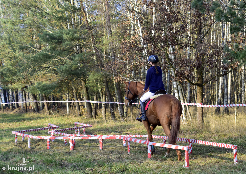 Gmina Więcbork: Hubertus w Sypniewie
