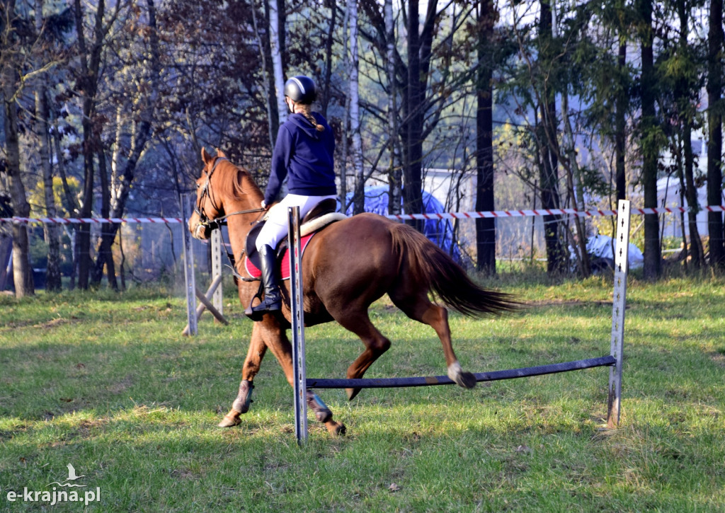 Gmina Więcbork: Hubertus w Sypniewie