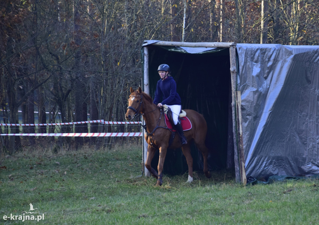 Gmina Więcbork: Hubertus w Sypniewie