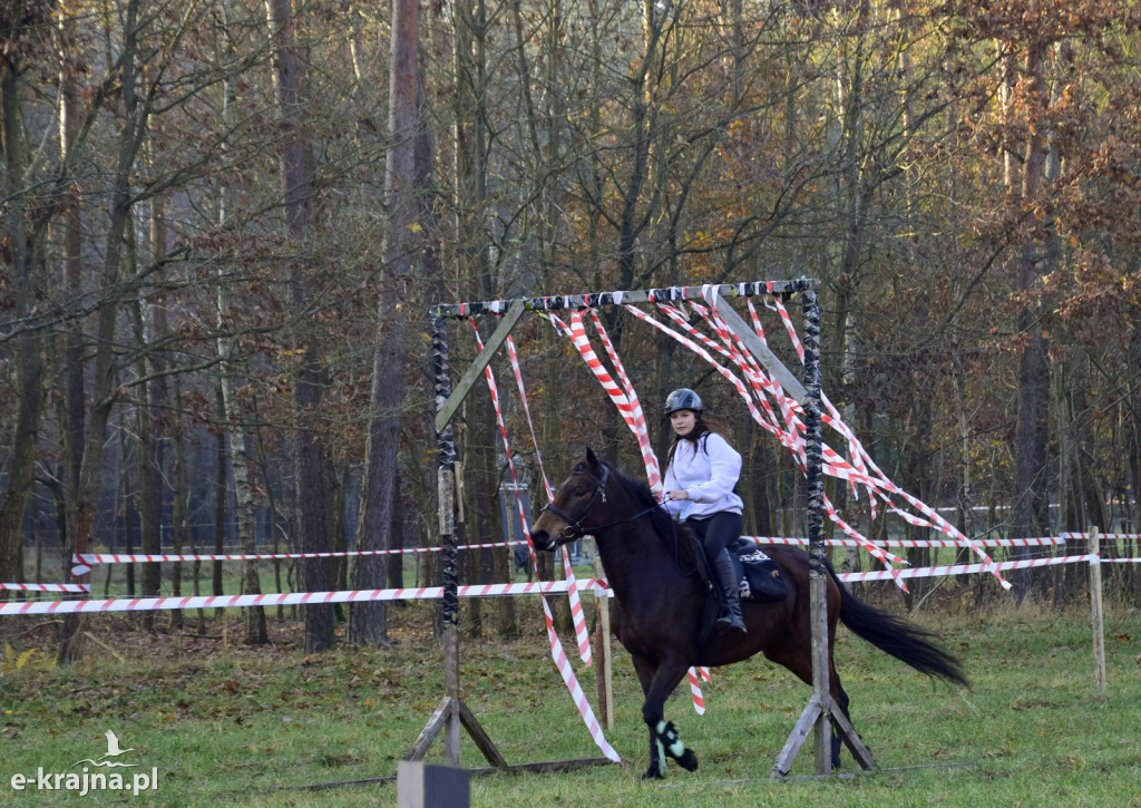 Gmina Więcbork: Hubertus w Sypniewie