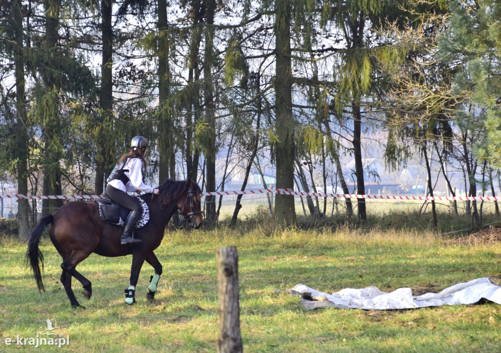 Gmina Więcbork: Hubertus w Sypniewie