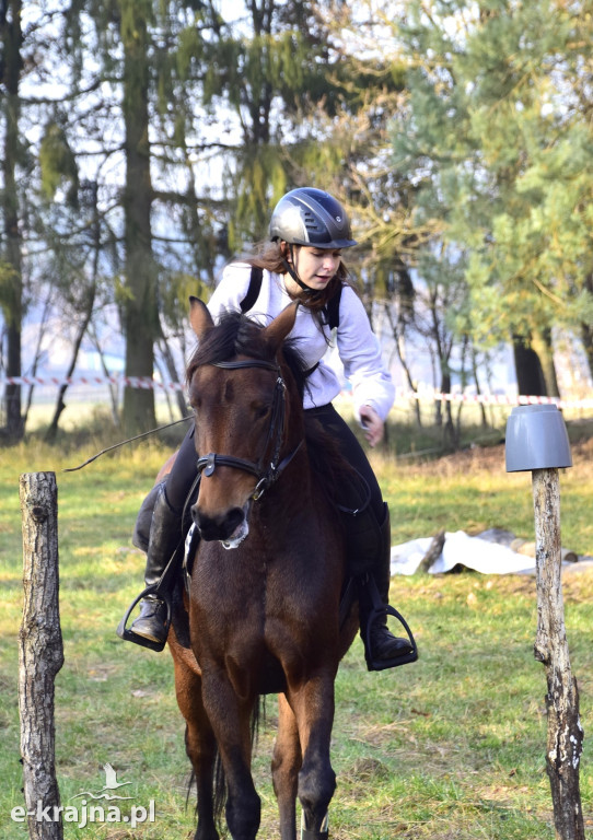 Gmina Więcbork: Hubertus w Sypniewie