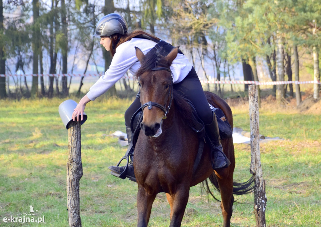 Gmina Więcbork: Hubertus w Sypniewie