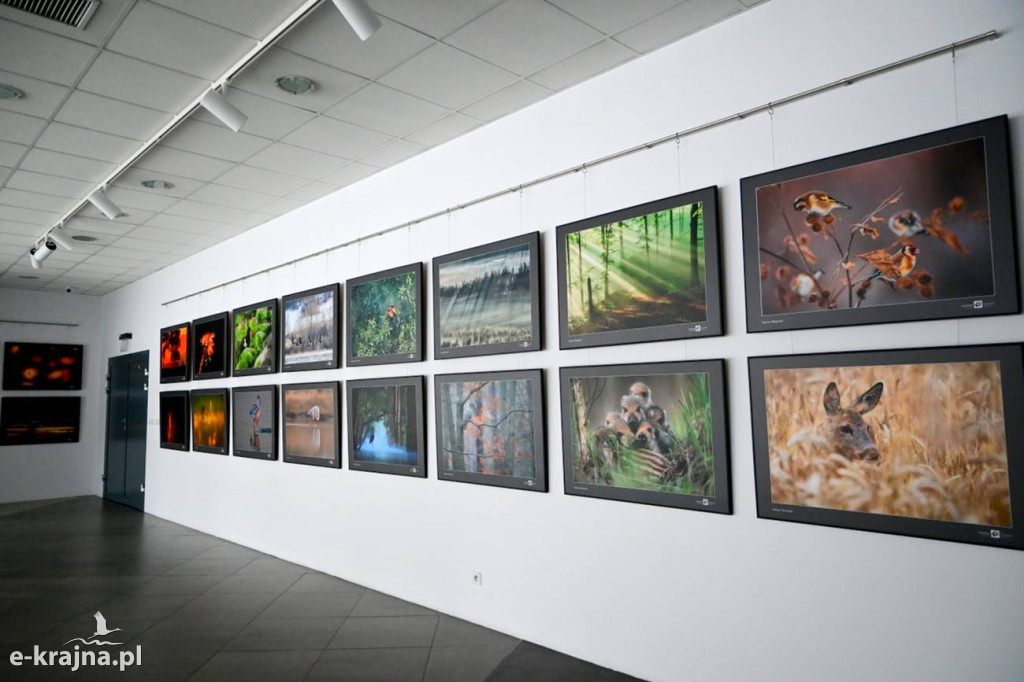 Sztuka Natury 2025 w Toruniu