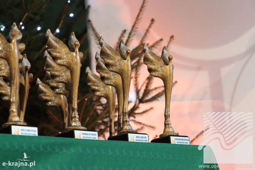 Powiatowa Gala Wolontariatu i Ratownictwa Medycznego w Nakle nad Notecią