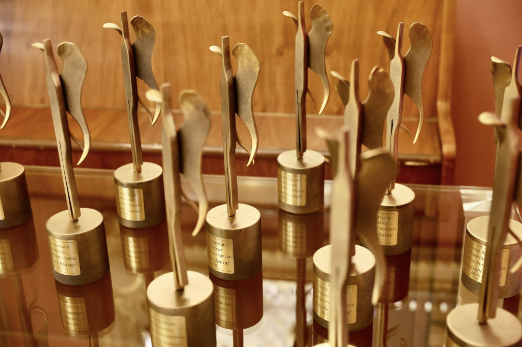 Powiat Sępoleński: Mamy swojego Anioła!