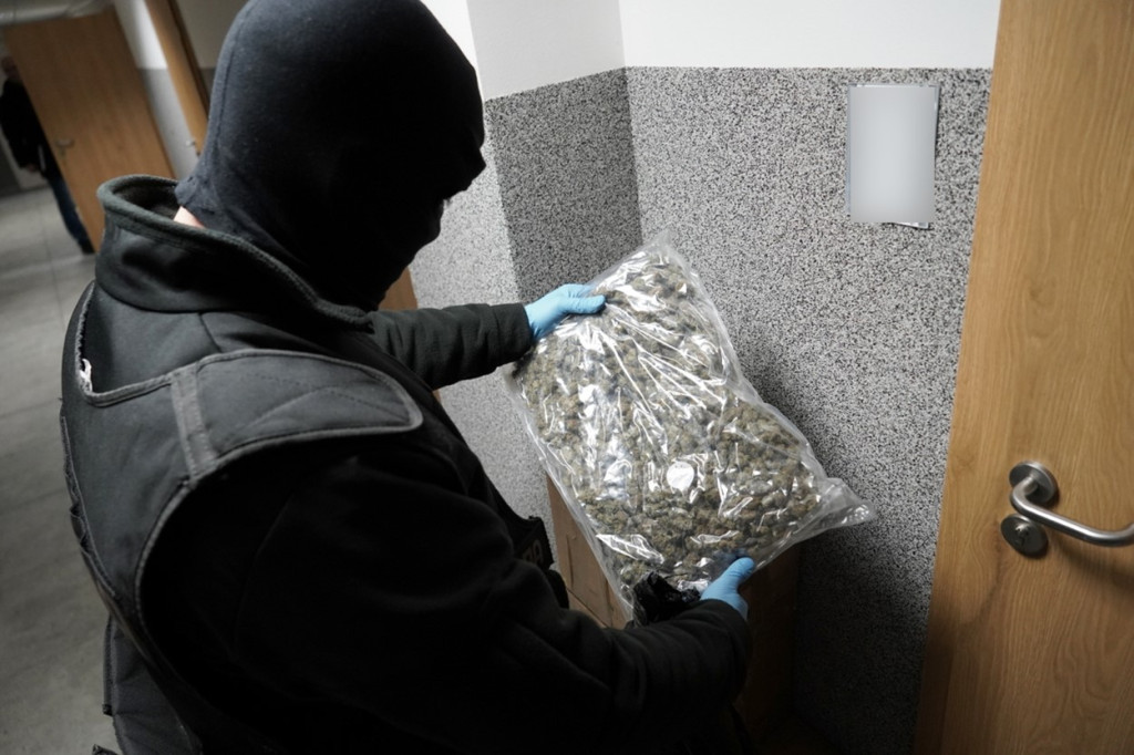 Bydgoszcz: Kryminalni wraz z CBZC przejęli ponad 75 kg narkotyków