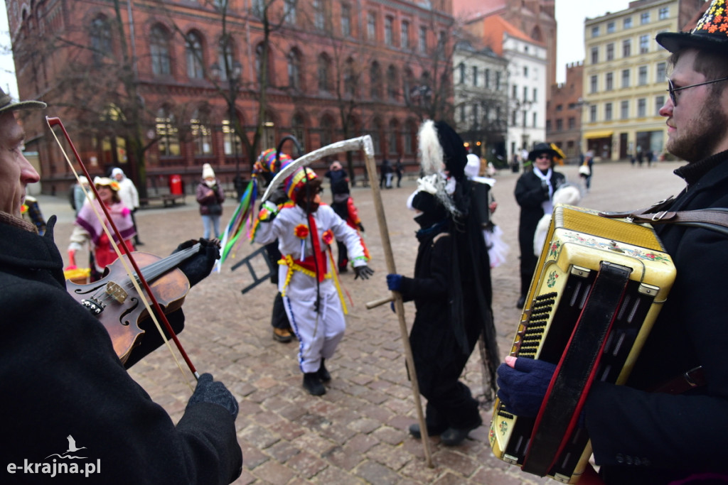 Kujawski pochód z kozą