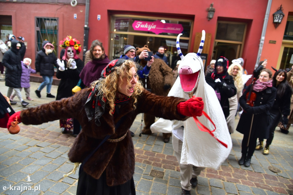 Kujawski pochód z kozą