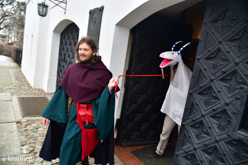 Kujawski pochód z kozą