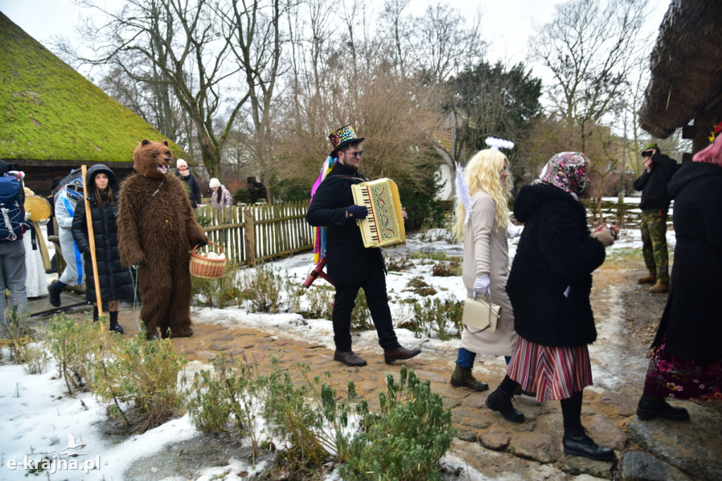 Kujawski pochód z kozą