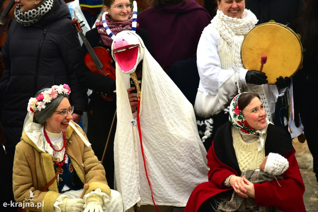 Kujawski pochód z kozą