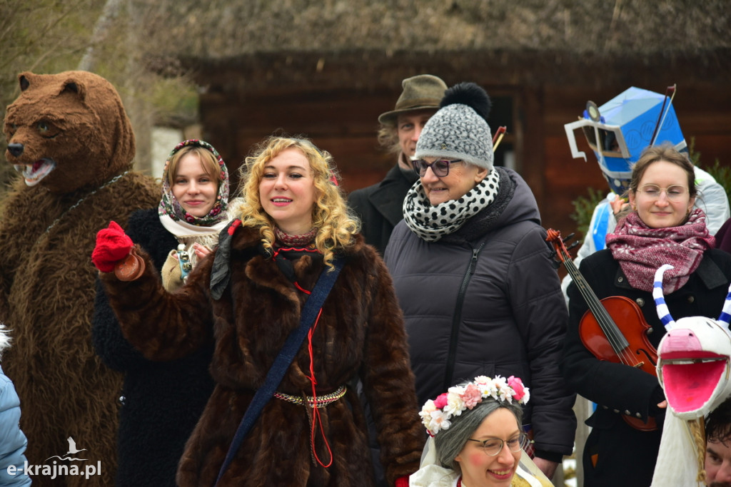 Kujawski pochód z kozą