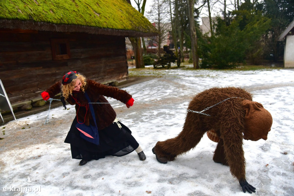 Kujawski pochód z kozą
