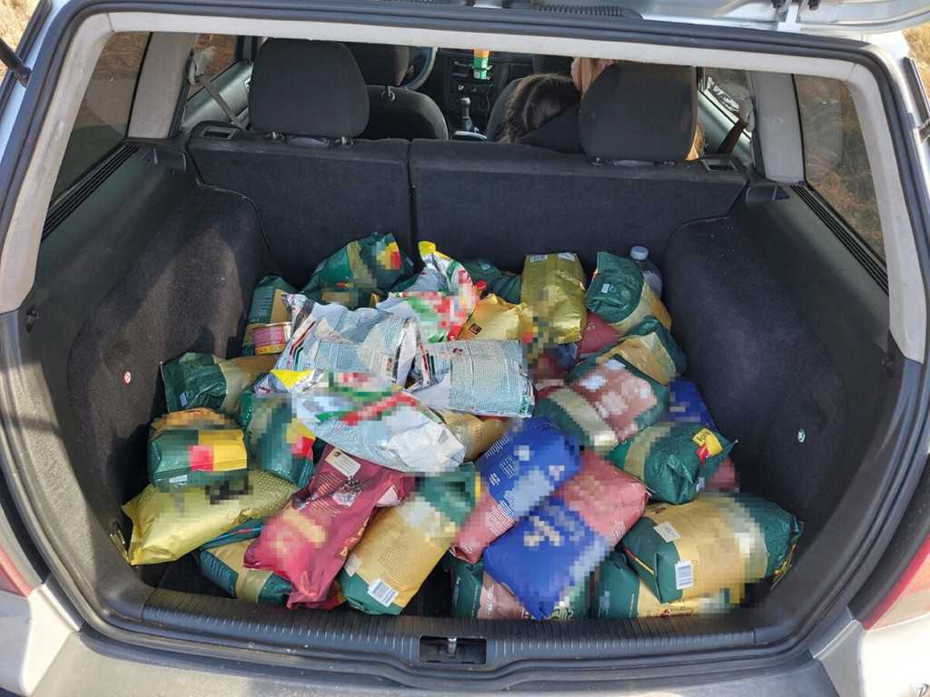 Sępoleńscy kryminalni zatrzymali sprawców kradzieży w sklepach