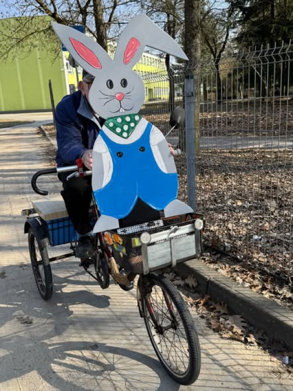 Uwaga! Zające przejmują gminę Krajenka