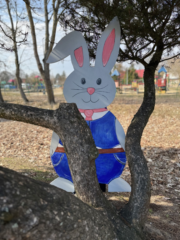 Uwaga! Zające przejmują gminę Krajenka