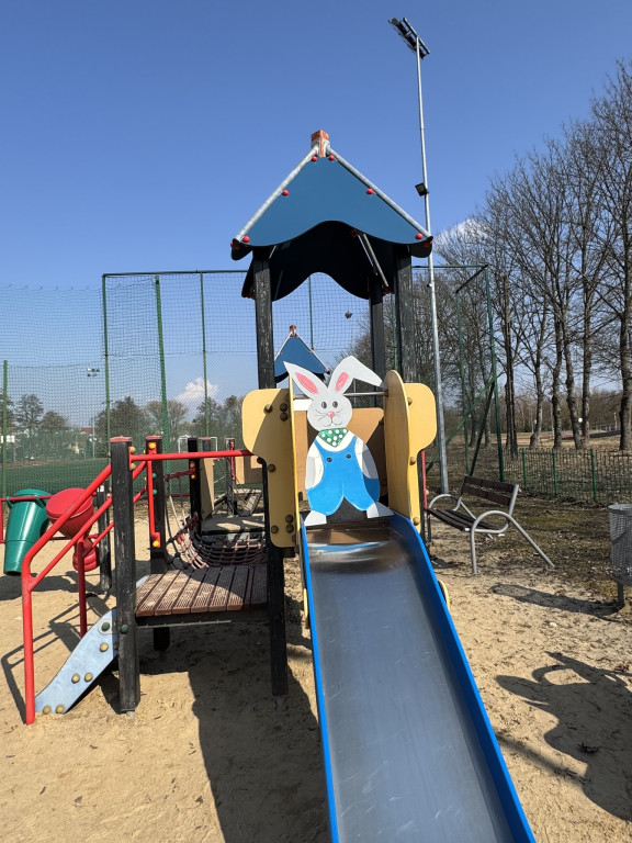 Uwaga! Zające przejmują gminę Krajenka