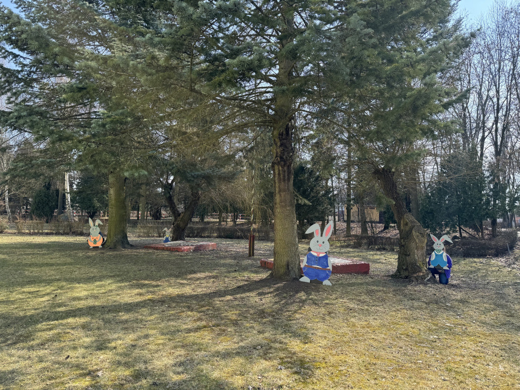 Uwaga! Zające przejmują gminę Krajenka