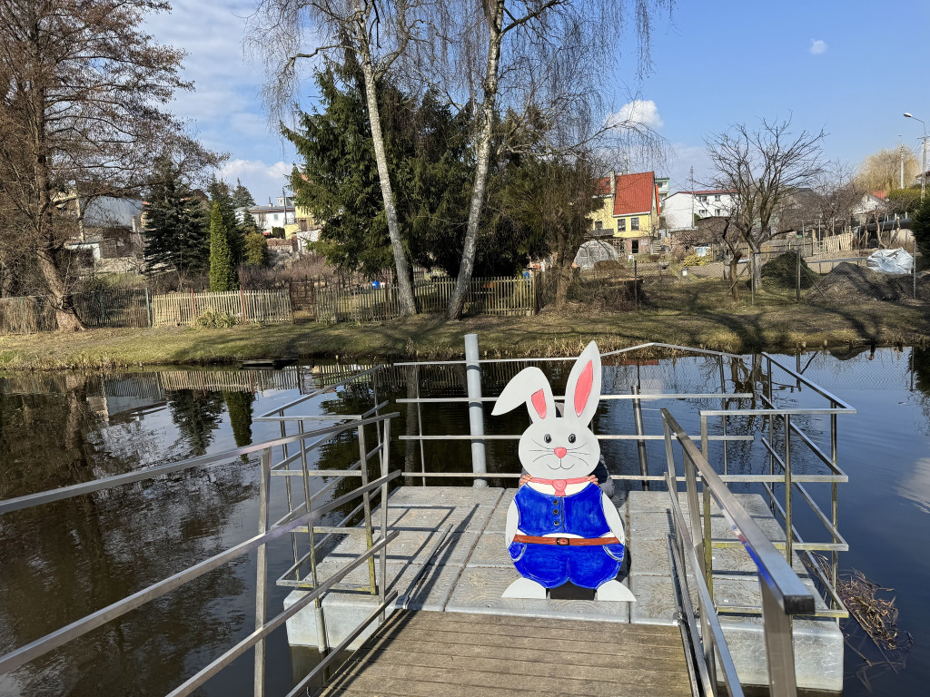 Uwaga! Zające przejmują gminę Krajenka