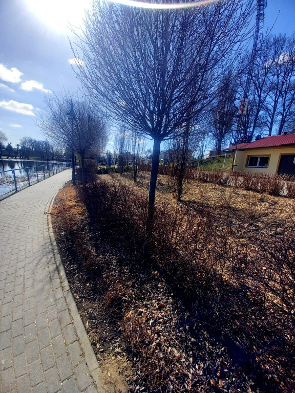 Łobżenica rozkwita na Wielkanoc. Sprawdź, jak zmieniła się gmina