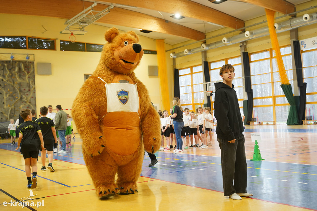 Sępólno Krajeńskie: Zawody Pluszowego Misia