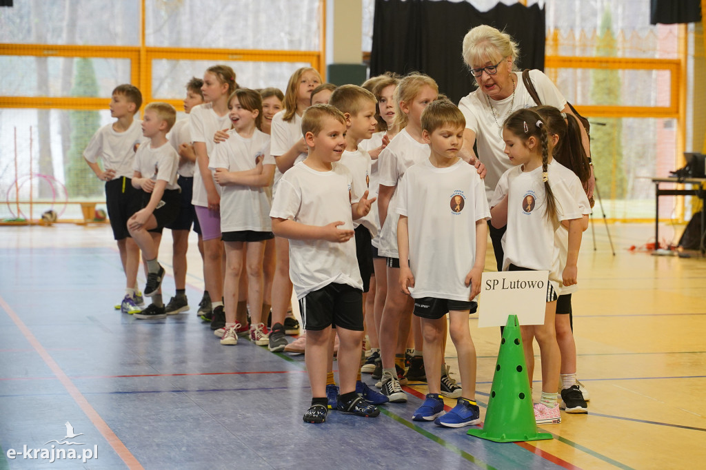 Sępólno Krajeńskie: Zawody Pluszowego Misia