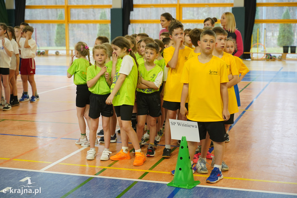 Sępólno Krajeńskie: Zawody Pluszowego Misia