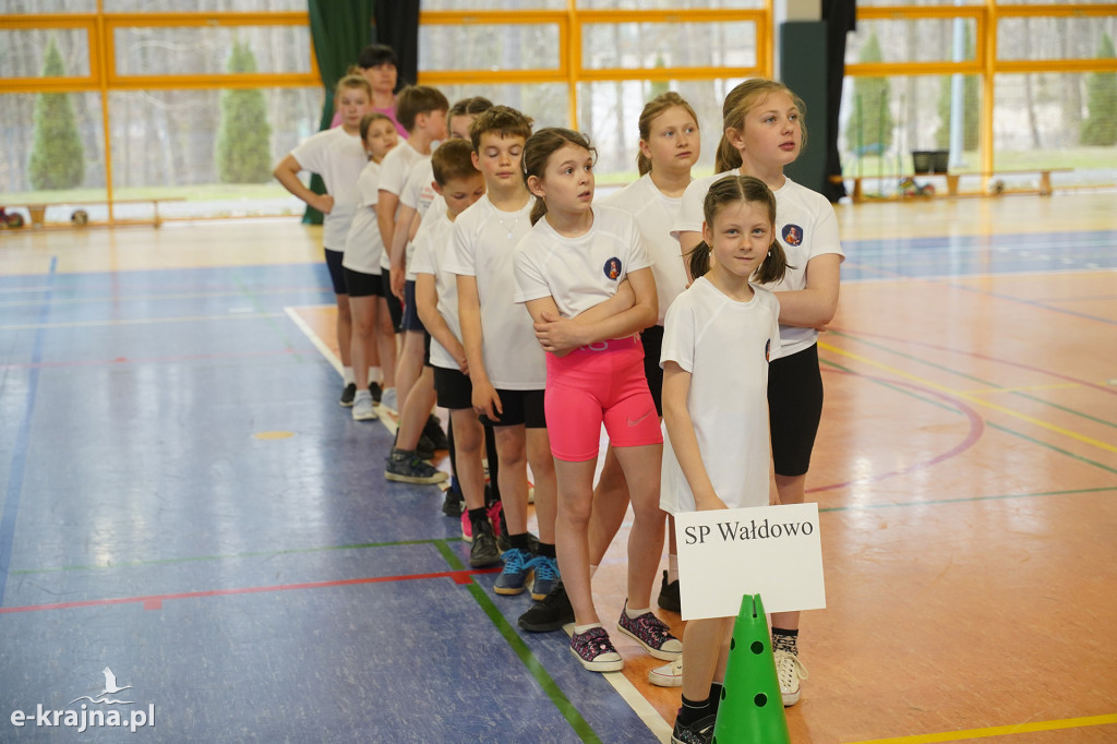 Sępólno Krajeńskie: Zawody Pluszowego Misia