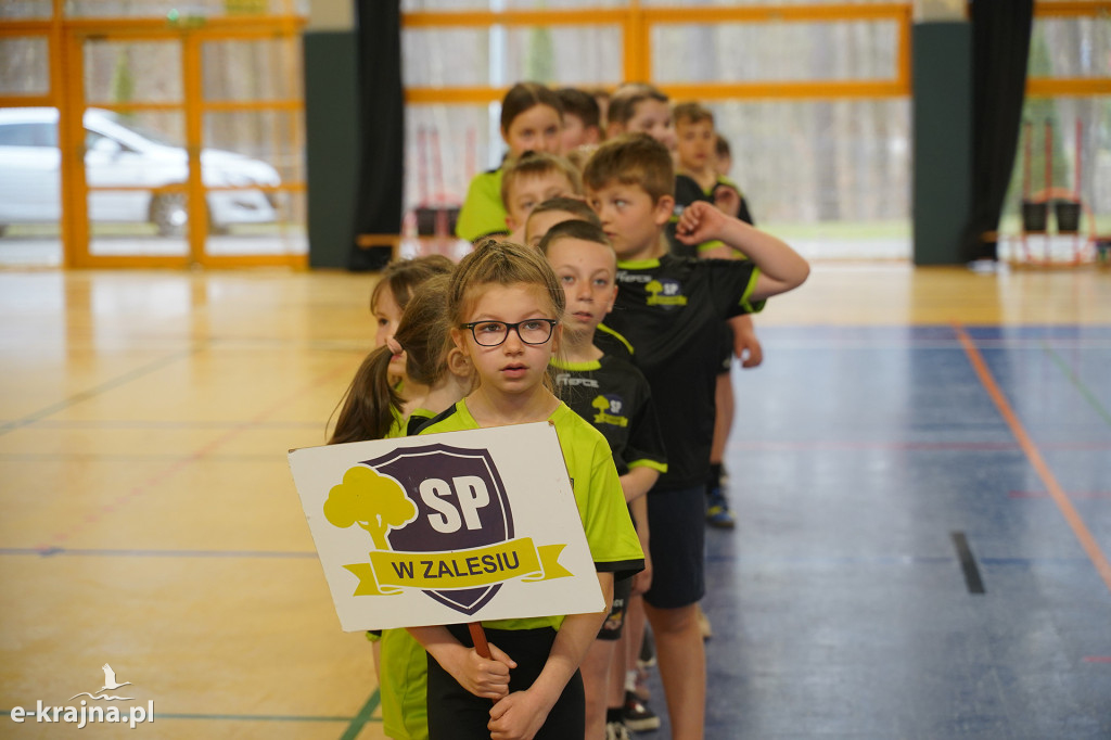 Sępólno Krajeńskie: Zawody Pluszowego Misia