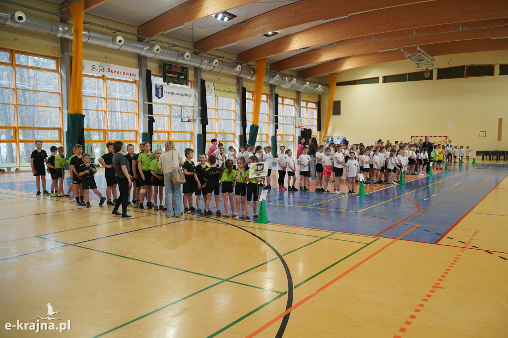 Sępólno Krajeńskie: Zawody Pluszowego Misia