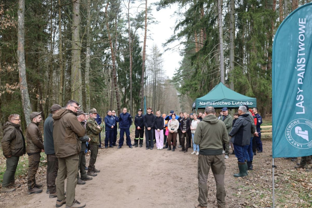 Sadzenie lasu w Leśnictwie Adamowo