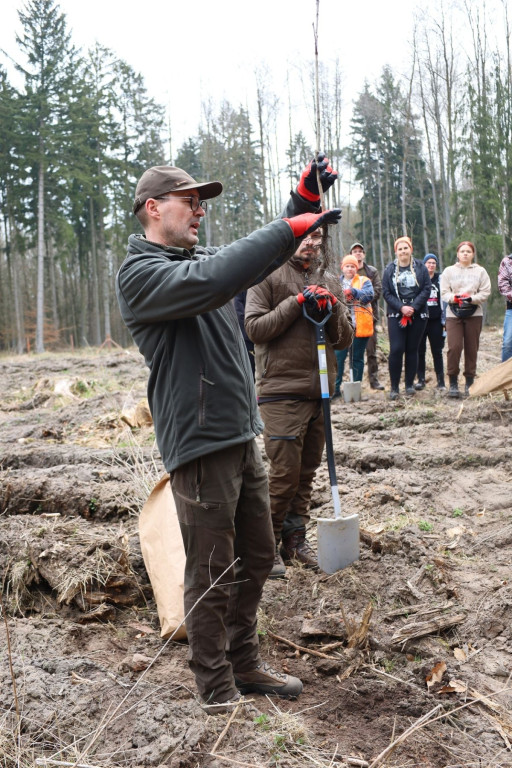 Sadzenie lasu w Leśnictwie Adamowo