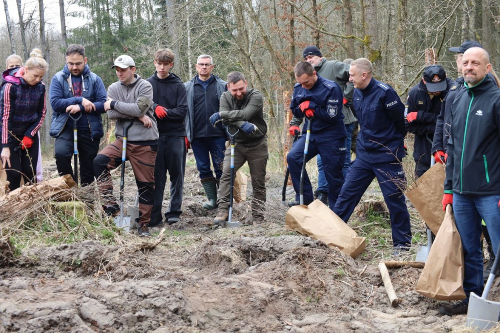 Sadzenie lasu w Leśnictwie Adamowo
